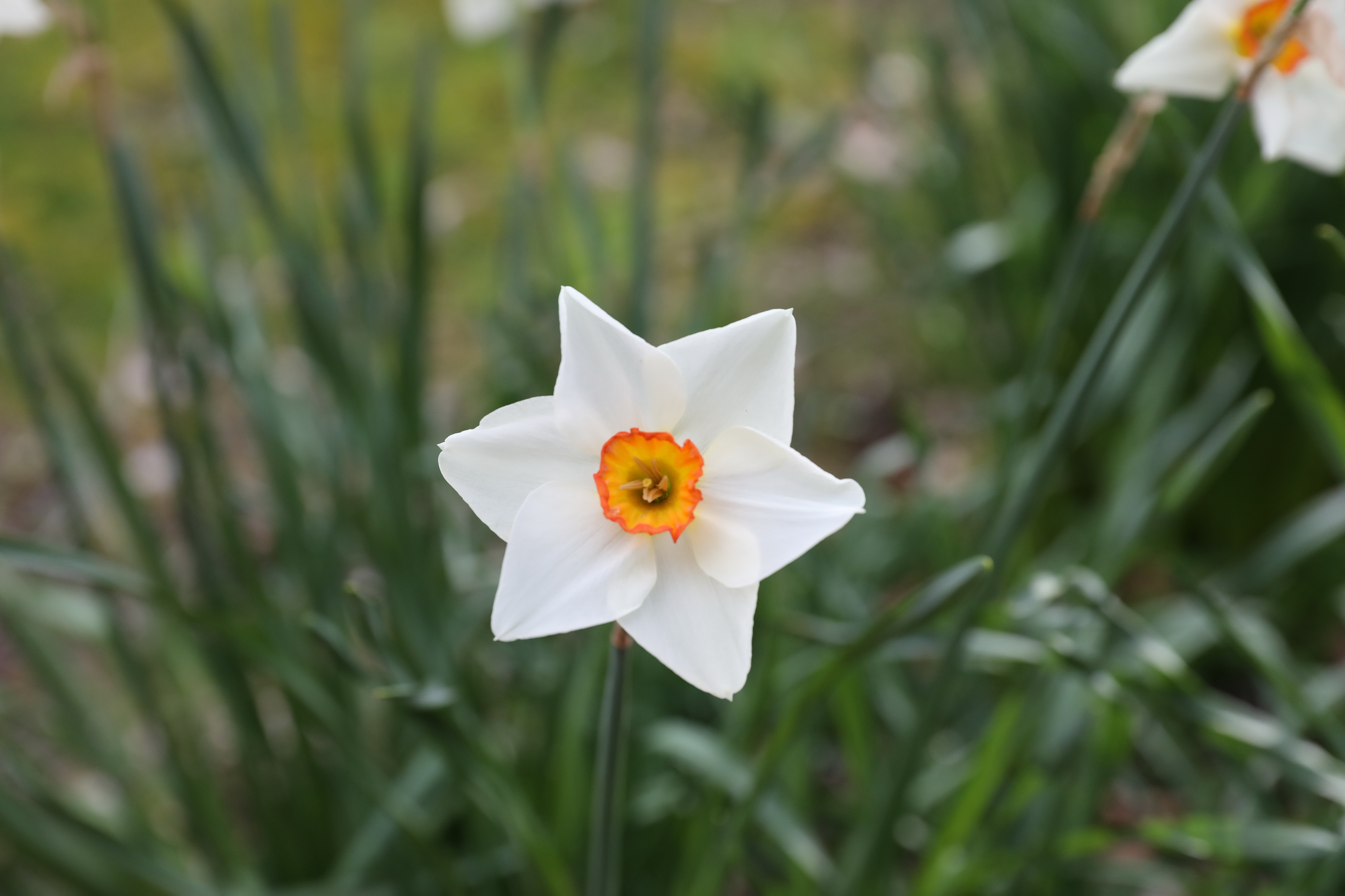 2019 09 21 15 40 02 Canon EOS 5D Mark IV 0012